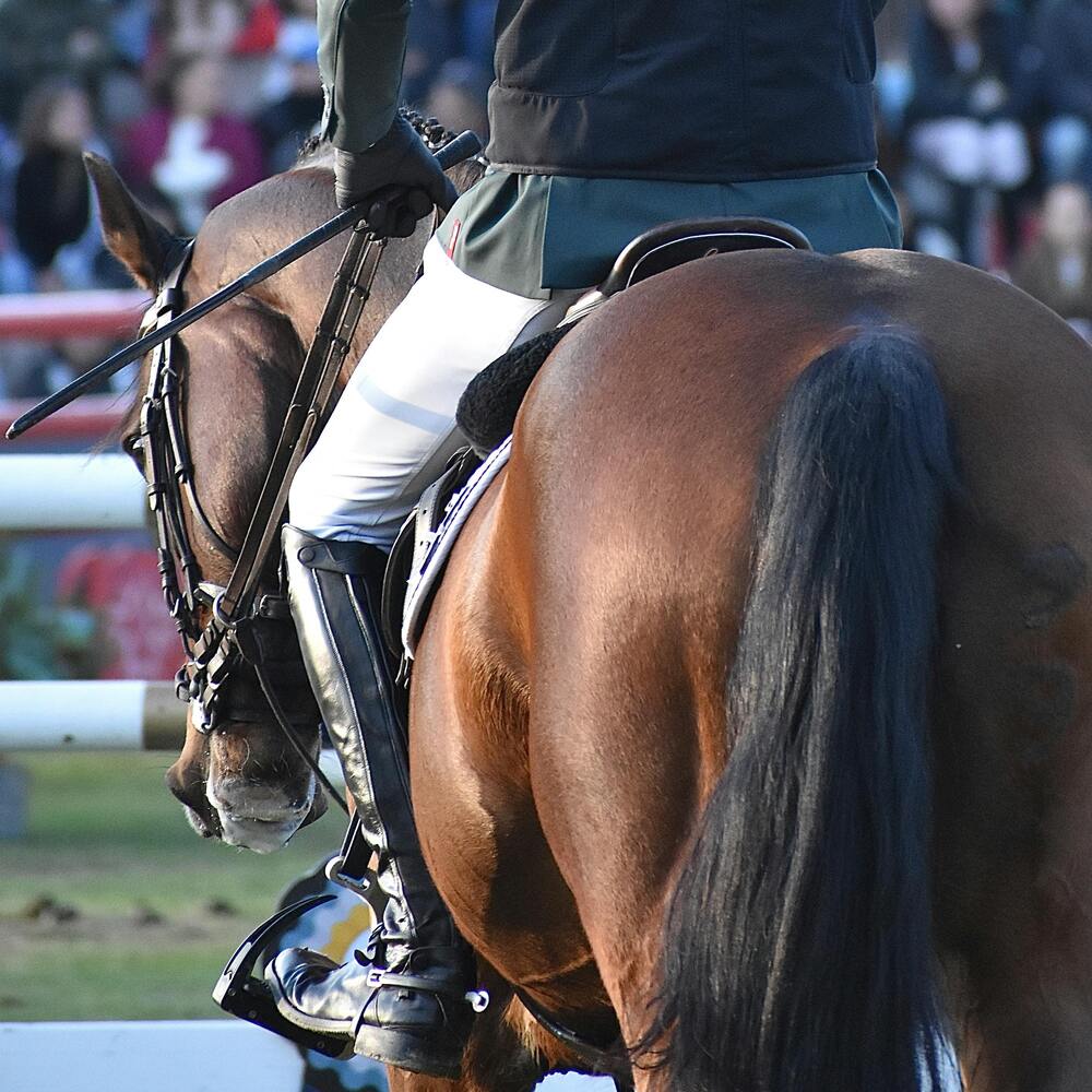 préparateur mental cavalier pujaudran