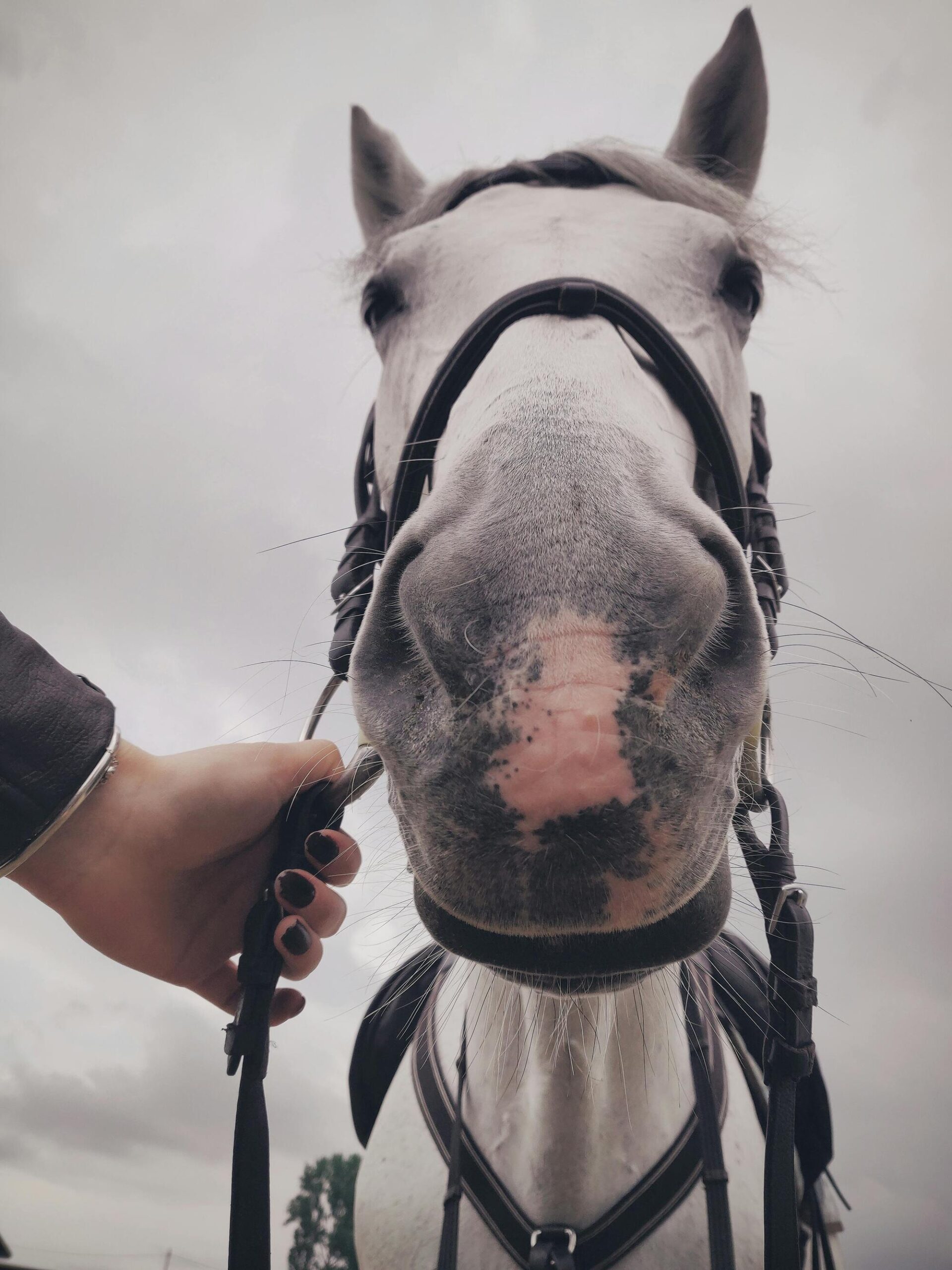 Praticien technique emmett