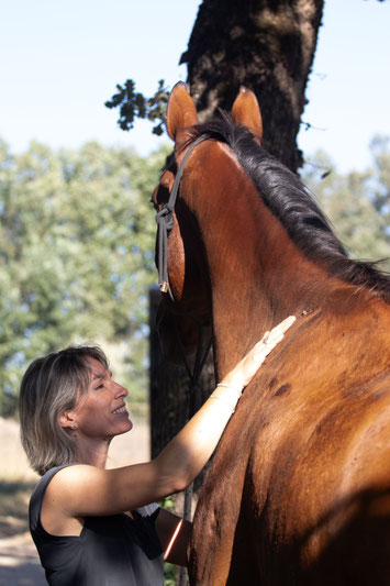 praticien technique-emmett et masseur-équin